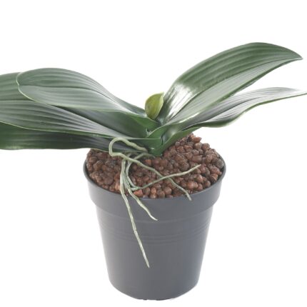 Künstlicher Phalaenopsis Blattzweig, ca 17cm, grün