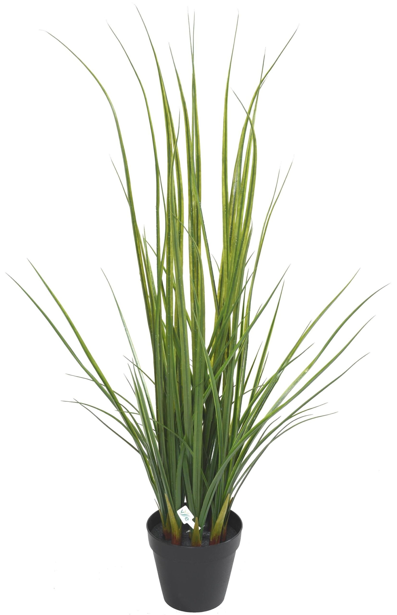 Künstliches Lemongrass, 120cm hoch, UV-beständig, grün 1 Künstliches Lemongrass, 120cm hoch, UV-beständig, grün