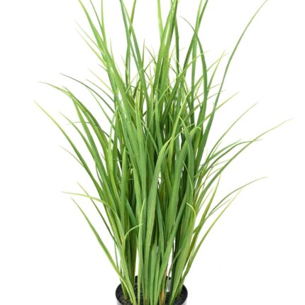 Künstliche Citronella-Pflanze, 90cm hoch, grün