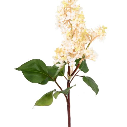 Künstliche Lilie, weiß, ca. 82cm hoch – Pflegeleicht & Elegant