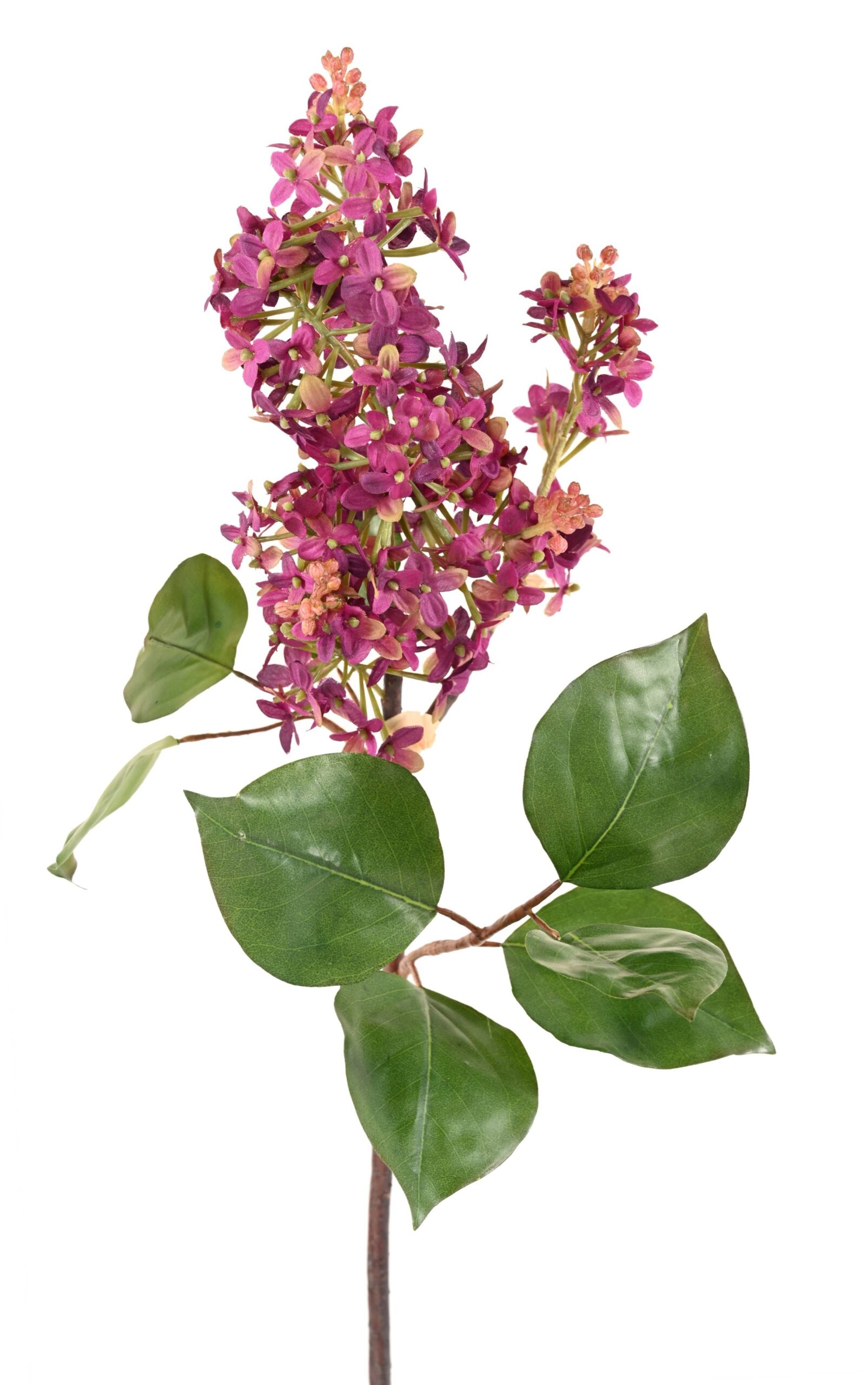 Künstliche Fliederblume, lila, ca. 82cm hoch 1 Künstliche Fliederblume, lila, ca. 82cm hoch