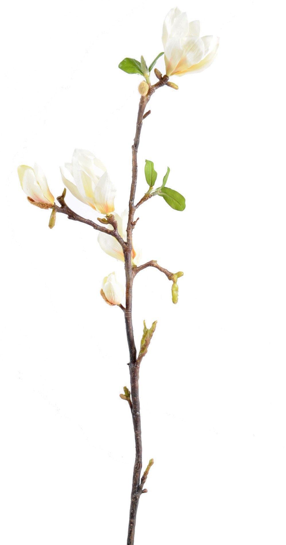 Künstliche Magnolienblüte, weiß, ca. 83cm hoch 1 Künstliche Magnolienblüte, weiß, ca. 83cm hoch