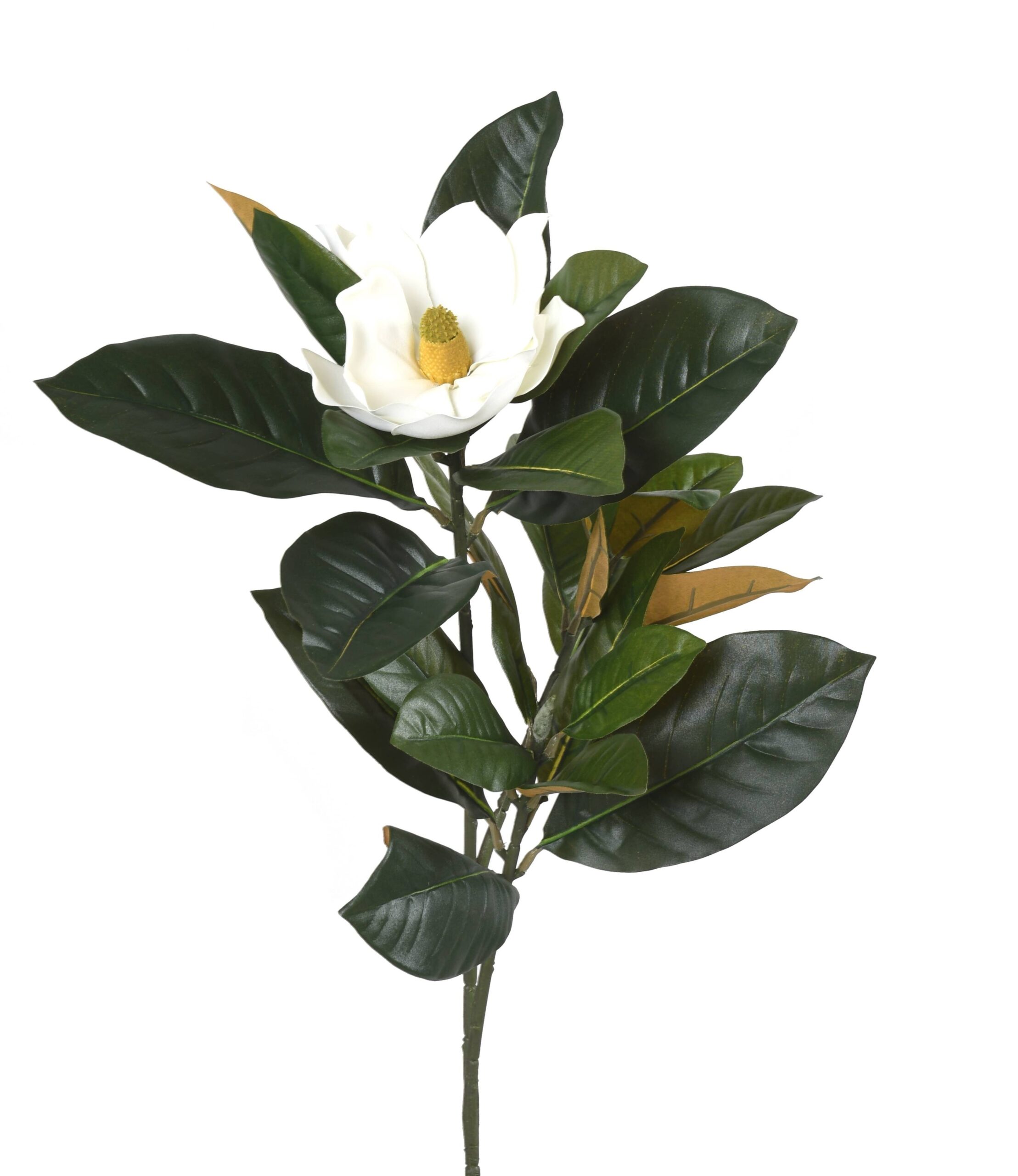 Künstlicher Magnolienzweig, ca 60cm, weiss 1 Künstlicher Magnolienzweig, ca 60cm, weiss