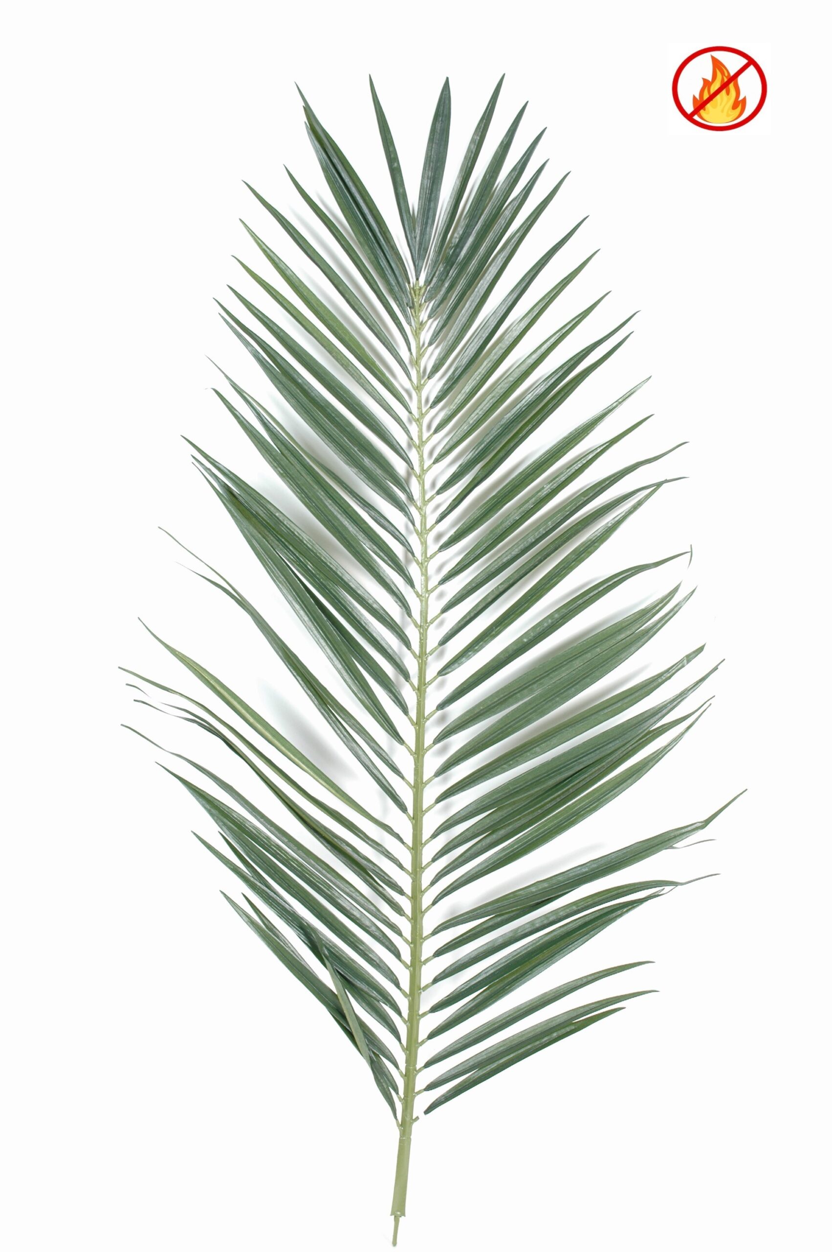 Majestätisches Palmblatt, 149cm, Schwer entflammbar B1/RF2, grün 1 Majestätisches Palmblatt, 149cm, Schwer entflammbar B1/RF2, grün