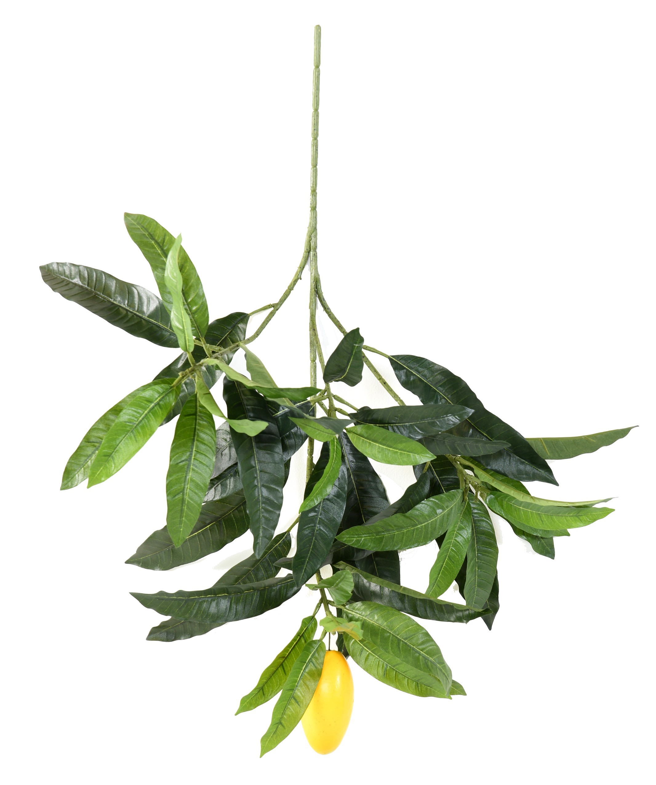 Künstlicher Mango Baumzweig, ca 70cm, grün 1 Künstlicher Mango Baumzweig, ca 70cm, grün