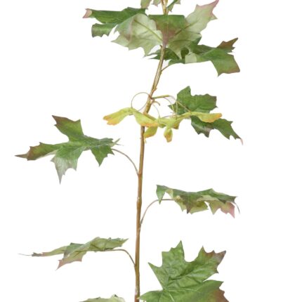 Künstlicher Ahornzweig, ca 108cm, grün