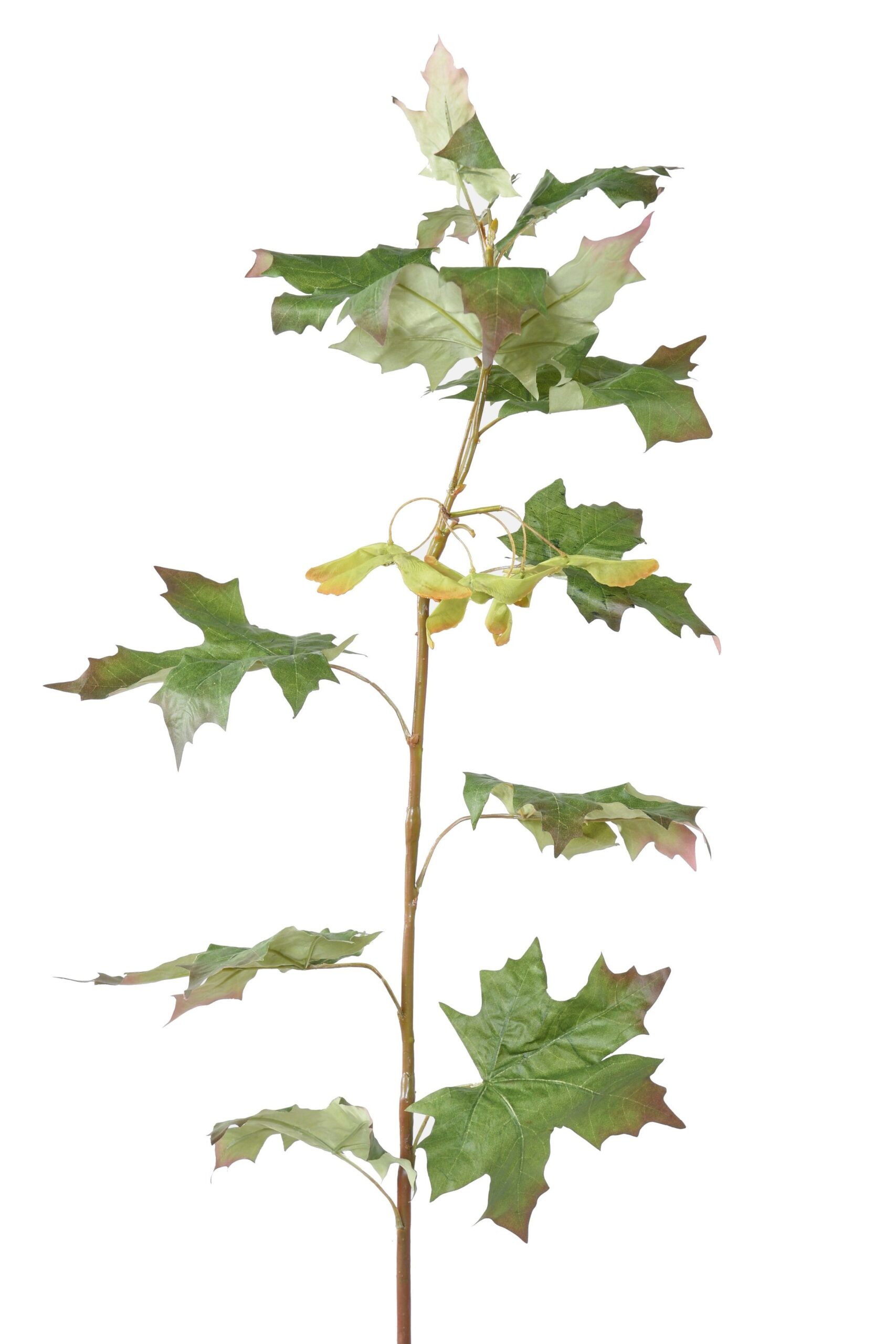 Künstlicher Ahornzweig, ca 108cm, grün 1 Künstlicher Ahornzweig, ca 108cm, grün