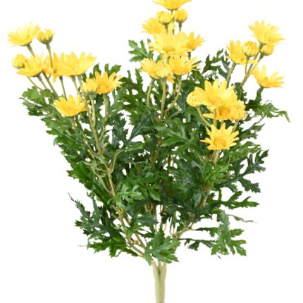 Künstliche Gänseblümchen, ca 40cm, gelb