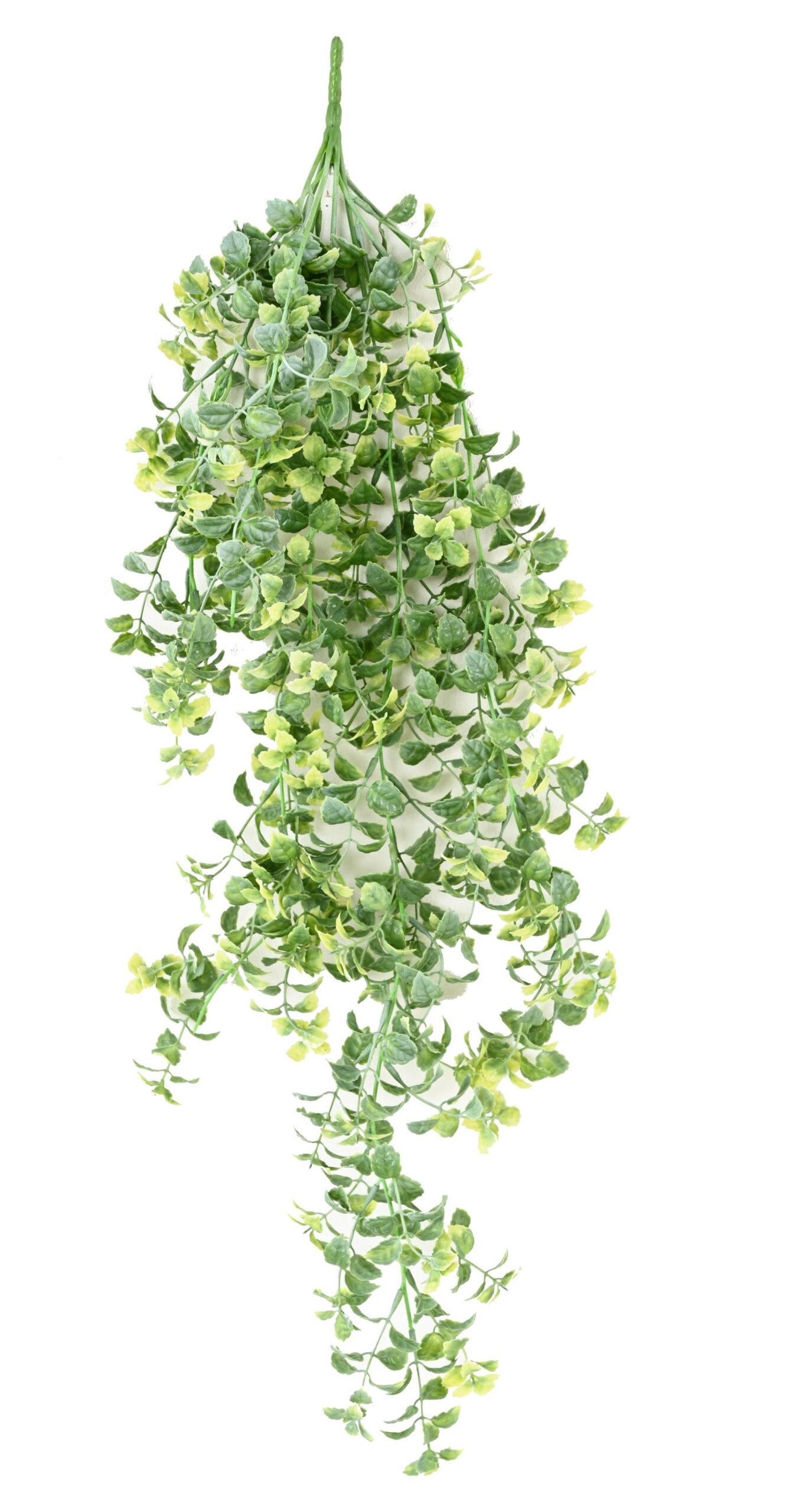 Künstliche Zitronenmelisse Hängepflanze, ca. 78cm 1 Künstliche Zitronenmelisse Hängepflanze, ca. 78cm