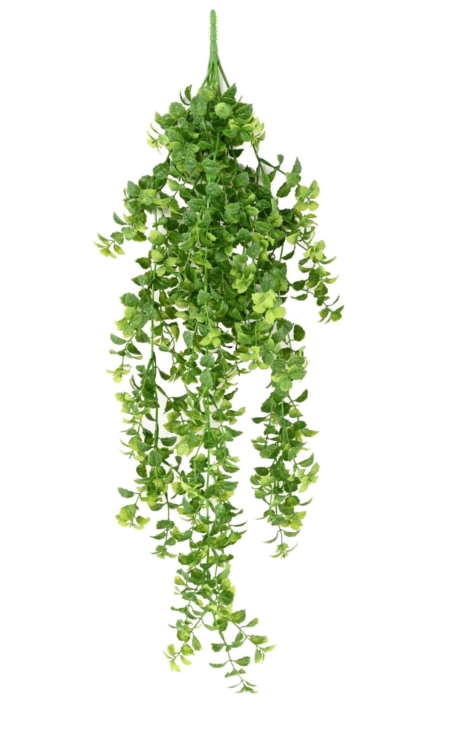 Künstliche Zitronenmelisse Hängepflanze, ca. 78cm 1 Künstliche Zitronenmelisse Hängepflanze, ca. 78cm