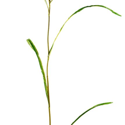 Künstlicher Chinaschilf-Zweig, ca 120cm, grün