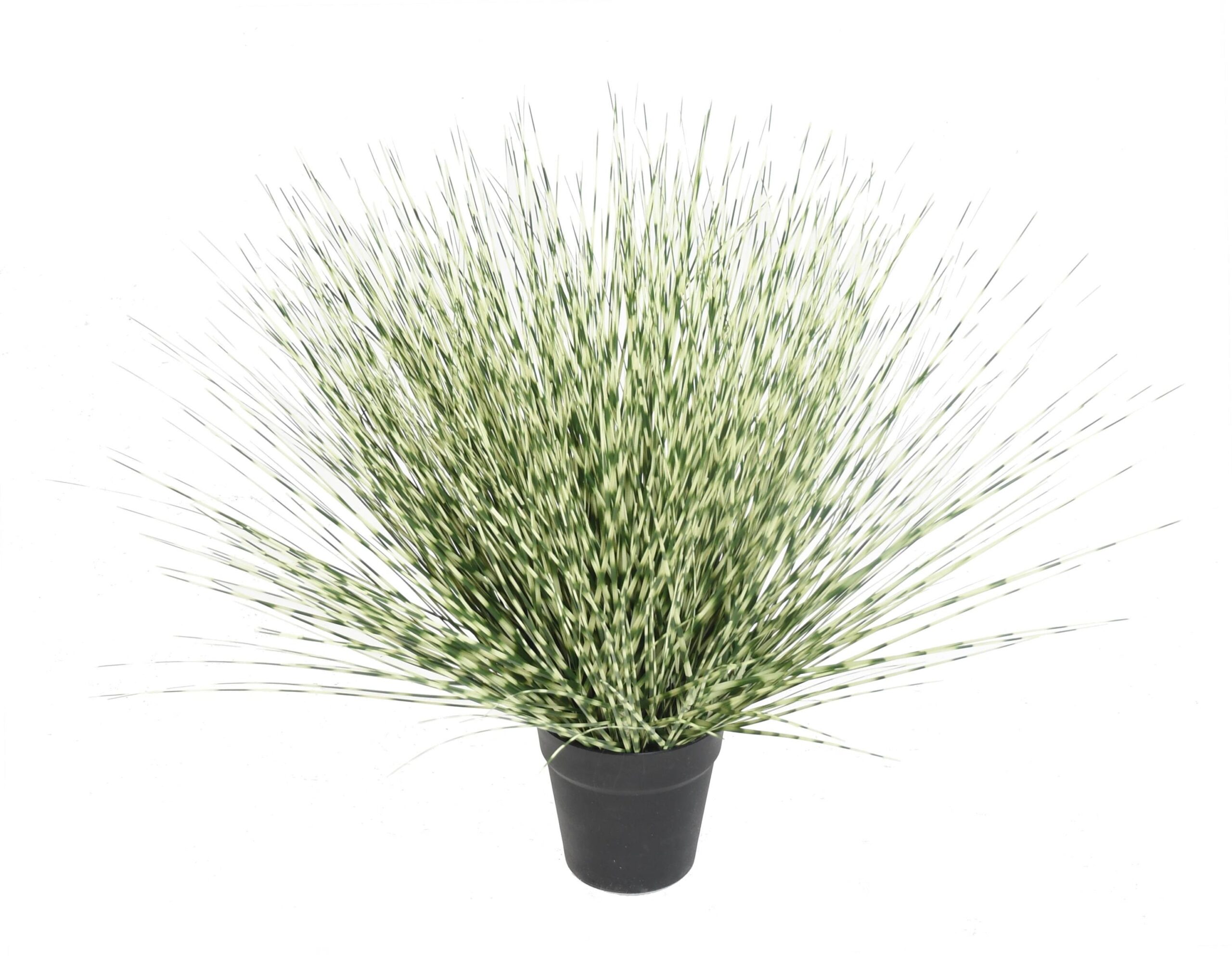 Künstlicher Miscanthus Zebrina, 120cm, pflegeleicht 1 Künstlicher Miscanthus Zebrina, 120cm, pflegeleicht