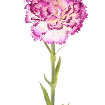 Künstliche Nelke, bunt, ca. 55cm hoch - Pflegeleicht!