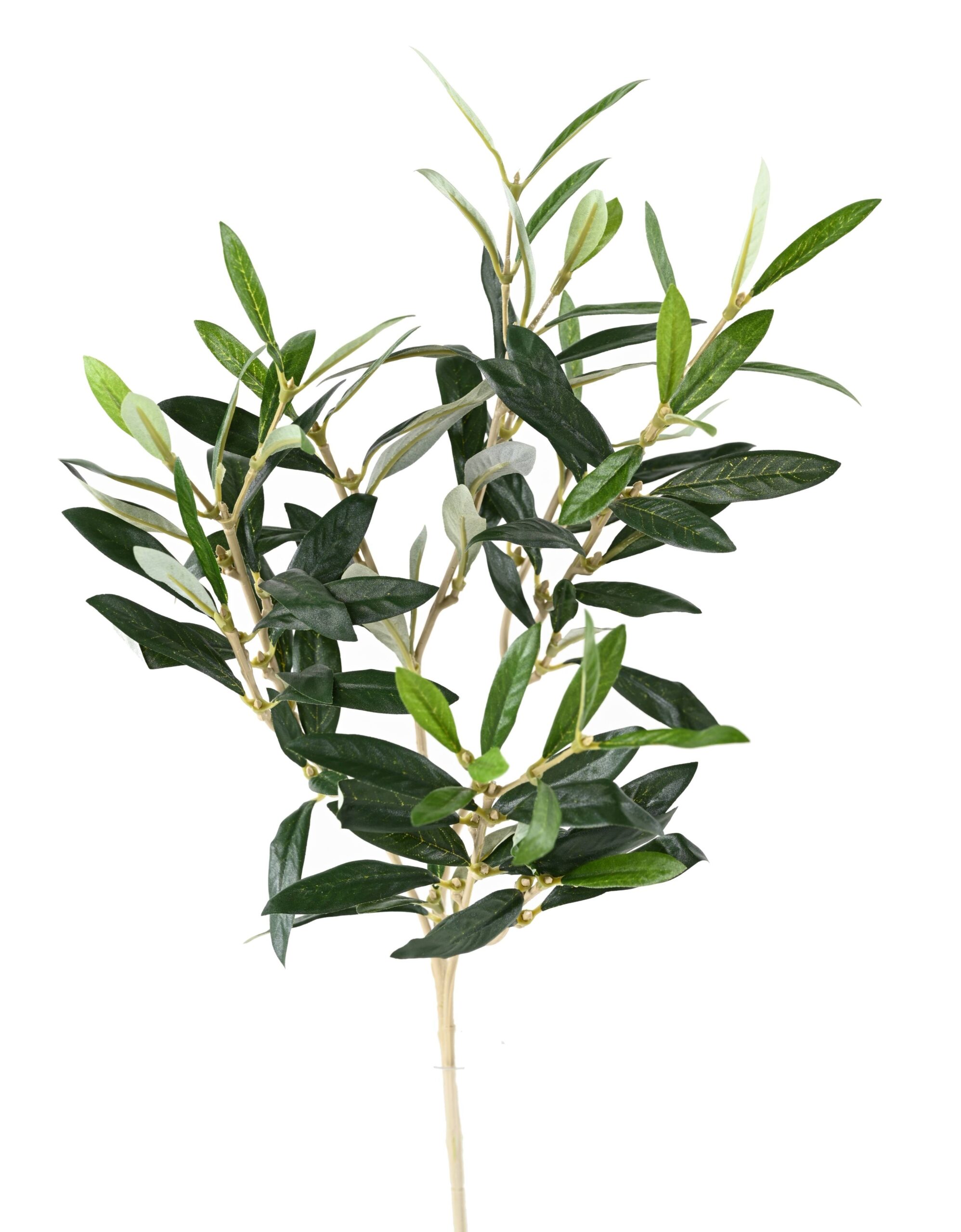 Künstlicher Olivenzweig, ca 54cm, grün 1 Künstlicher Olivenzweig, ca 54cm, grün