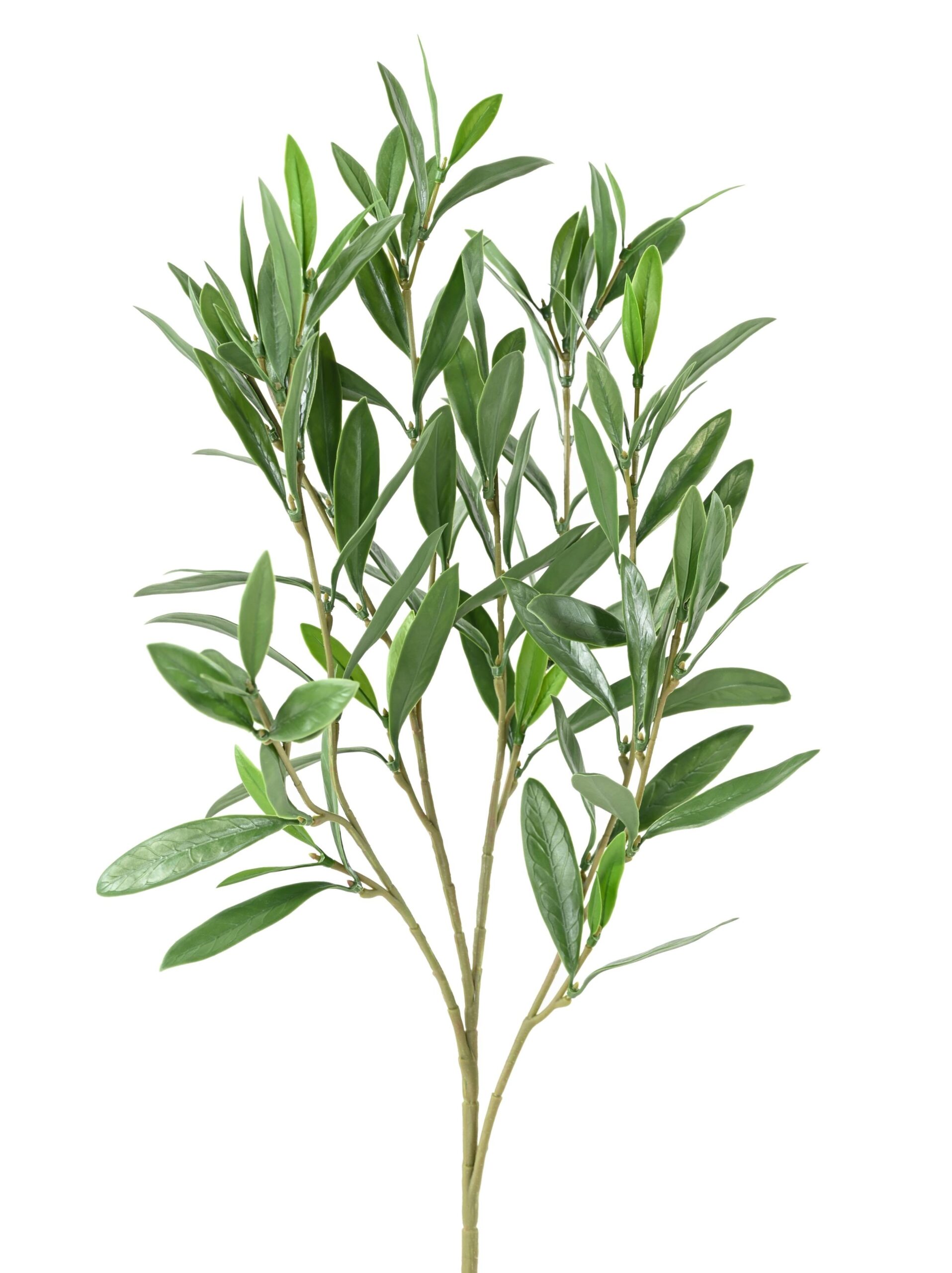 Künstlicher Olivenzweig, ca 60cm, UV-beständig, grün 1 Künstlicher Olivenzweig, ca 60cm, UV-beständig, grün