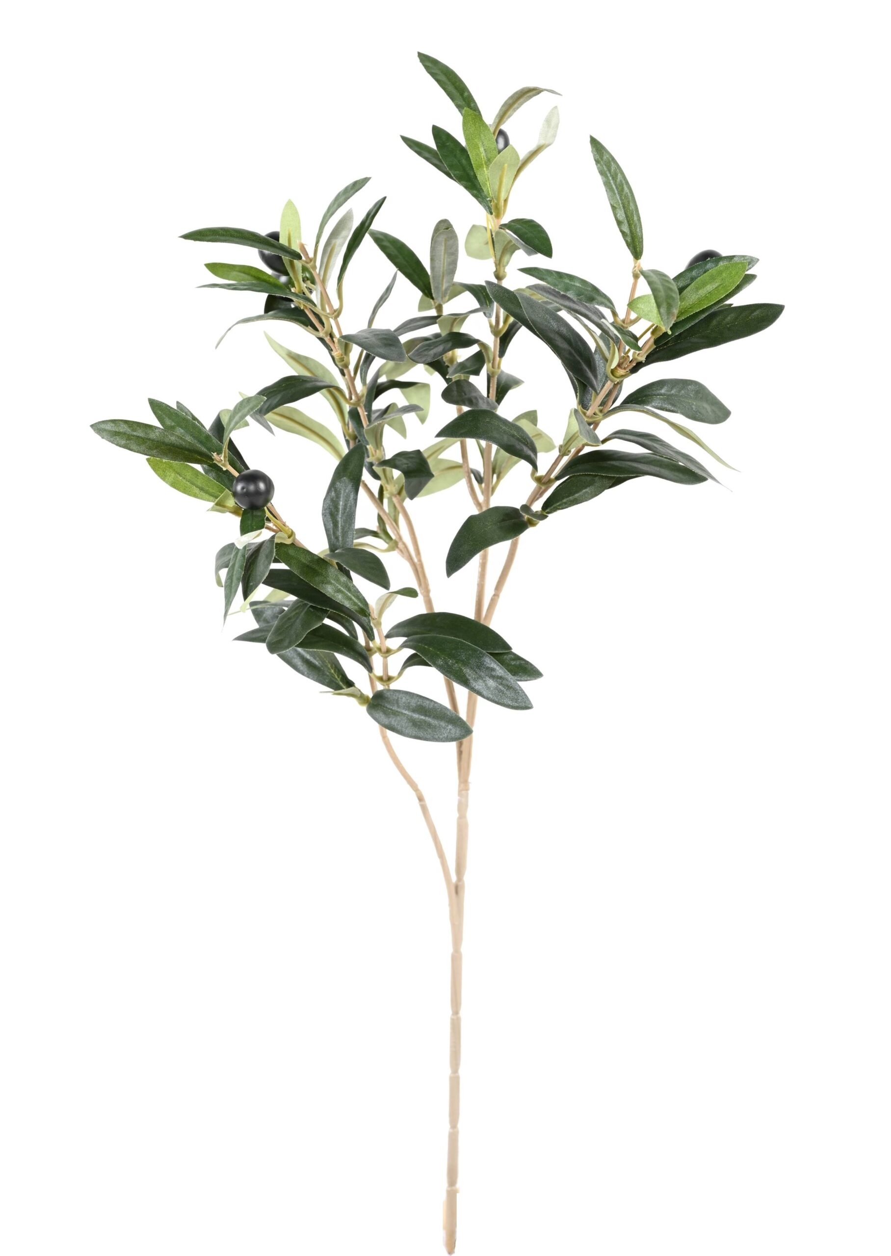 Künstlicher Olivenbaum Zweig, ca 50cm, grün 1 Künstlicher Olivenbaum Zweig, ca 50cm, grün