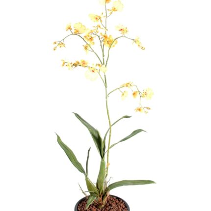 Künstliche Oncidium-Orchidee, ca 60cm, gelb