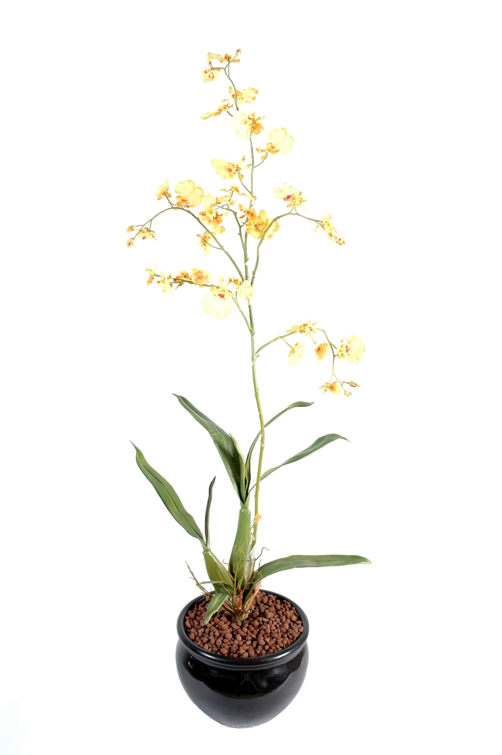 Künstliche Oncidium-Orchidee, ca 60cm, gelb 1 Künstliche Oncidium-Orchidee, ca 60cm, gelb