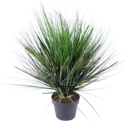 Künstliches Gras, 70cm hoch, pflegeleicht und realistisch