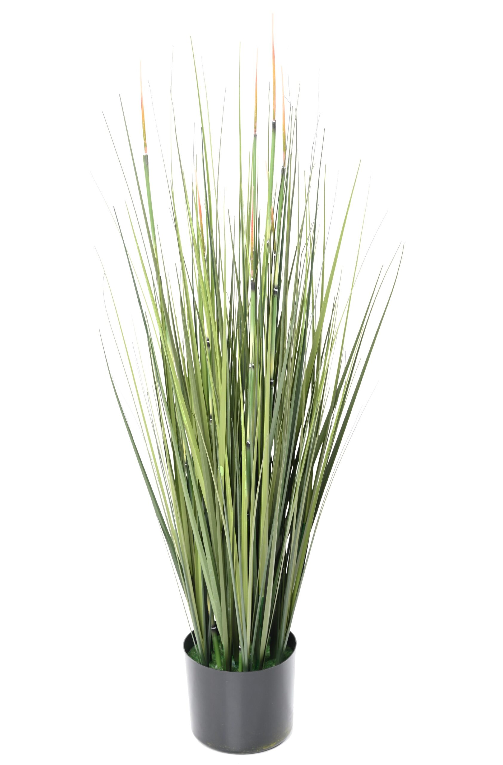 Künstliches Zwiebelgras, 85cm hoch, pflegeleicht & grün 1 Künstliches Zwiebelgras, 85cm hoch, pflegeleicht & grün