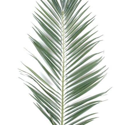 Künstlicher Majesty-Palmwedel, ca 105cm, grün