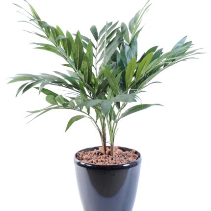 Künstliche Palme Chamaedorea, 65cm hoch, grün