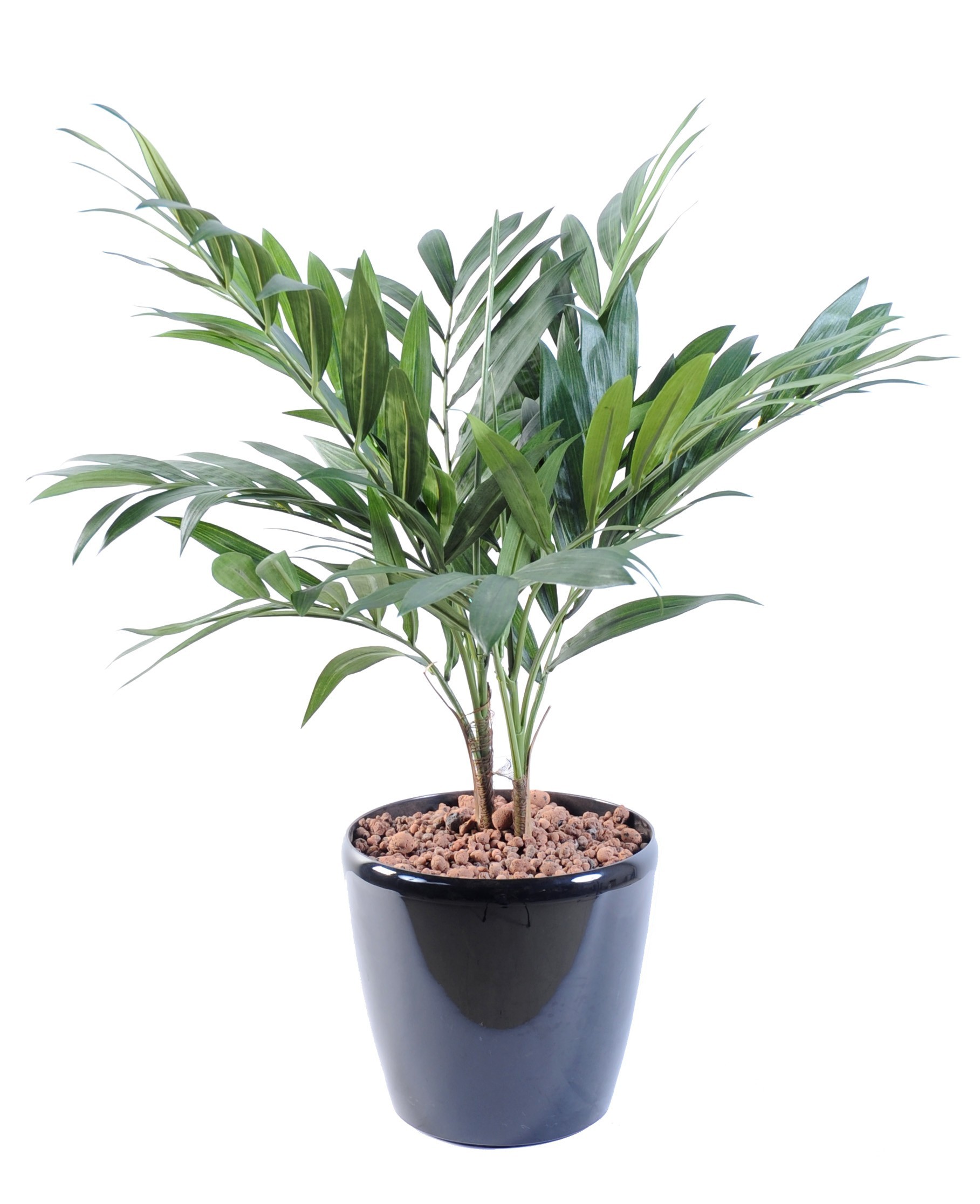 Künstliche Palme Chamaedorea, 65cm hoch, grün 1 Künstliche Palme Chamaedorea, 65cm hoch, grün