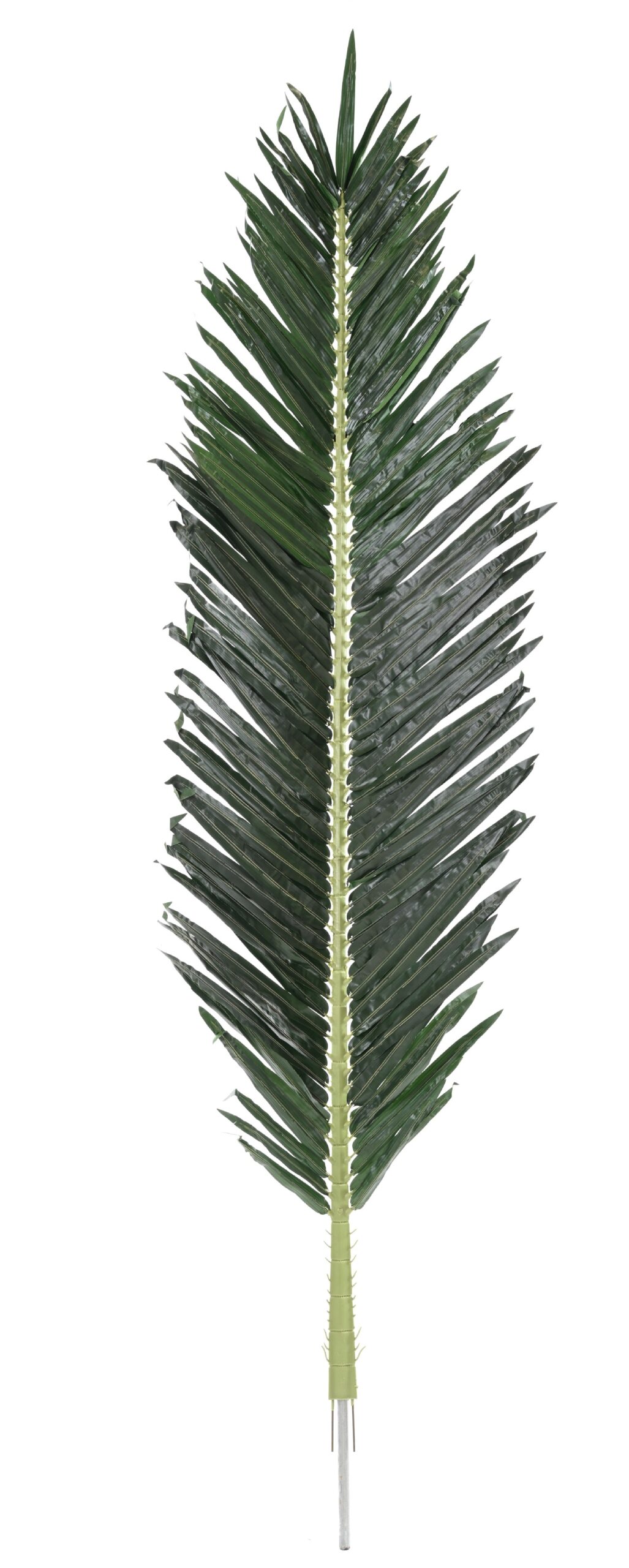 Künstliches Royal-Palmblatt, ca 210cm, UV-Beständig, grün 1 Künstliches Royal-Palmblatt, ca 210cm, UV-Beständig, grün