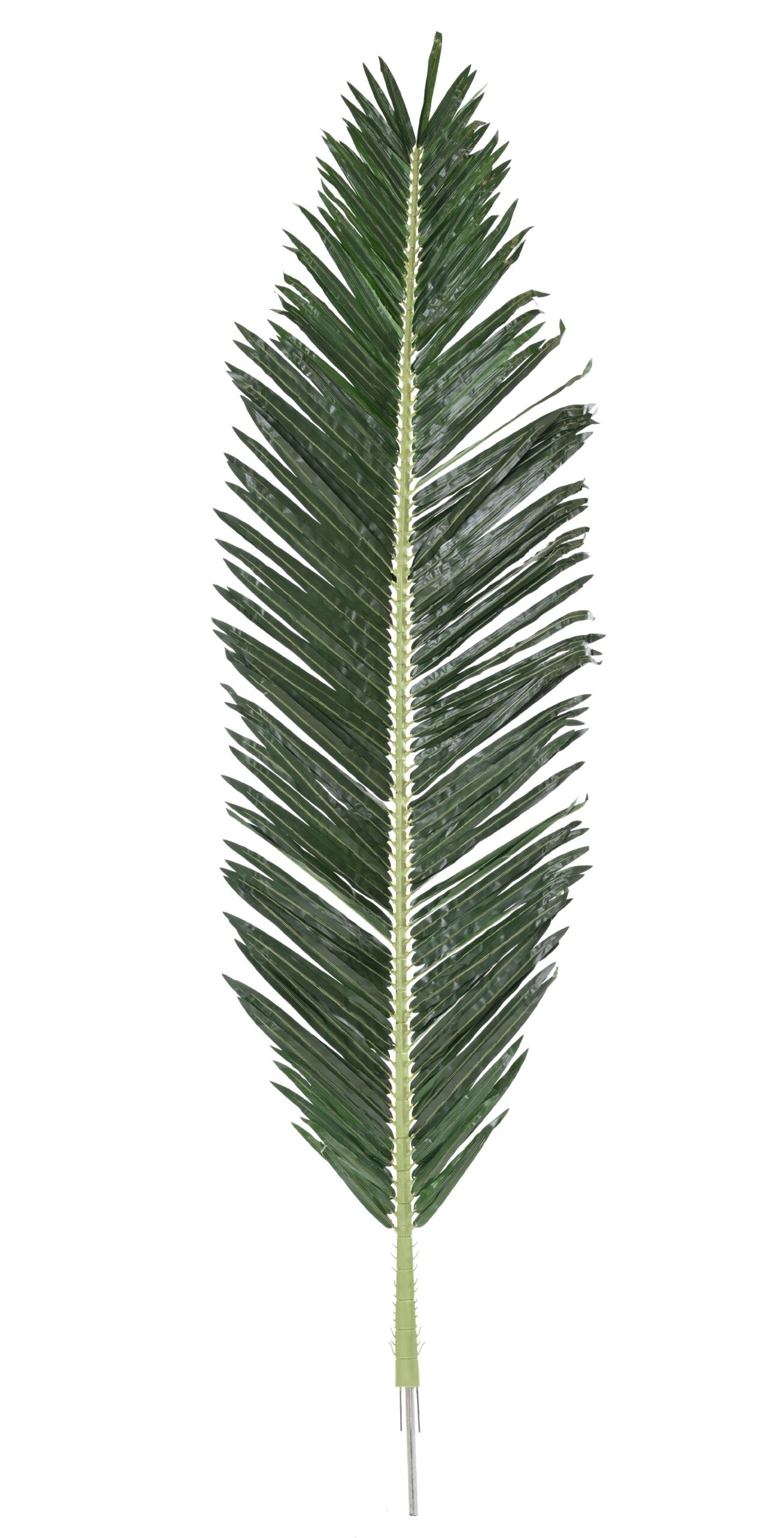 Künstliches Royal-Palmblatt, ca 250cm, UV-beständig, grün 1 Künstliches Royal-Palmblatt, ca 250cm, UV-beständig, grün