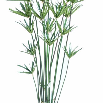 Künstlicher Papyrus: Pflegeleichte Eleganz für Ihr Zuhause