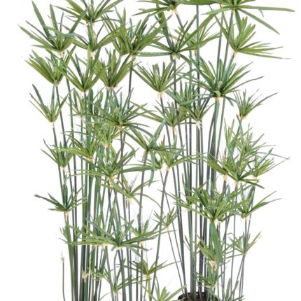 Künstlicher Papyrus: Pflegeleichte Deko für Ihr Zuhause