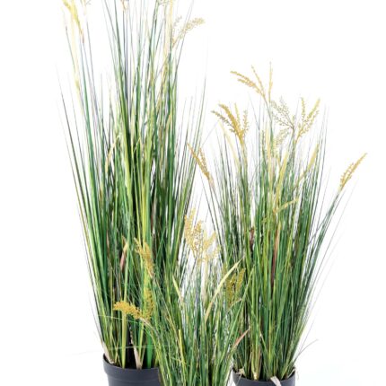 Künstlicher Papyrus: Pflegeleichte Deko für Ihr Zuhause