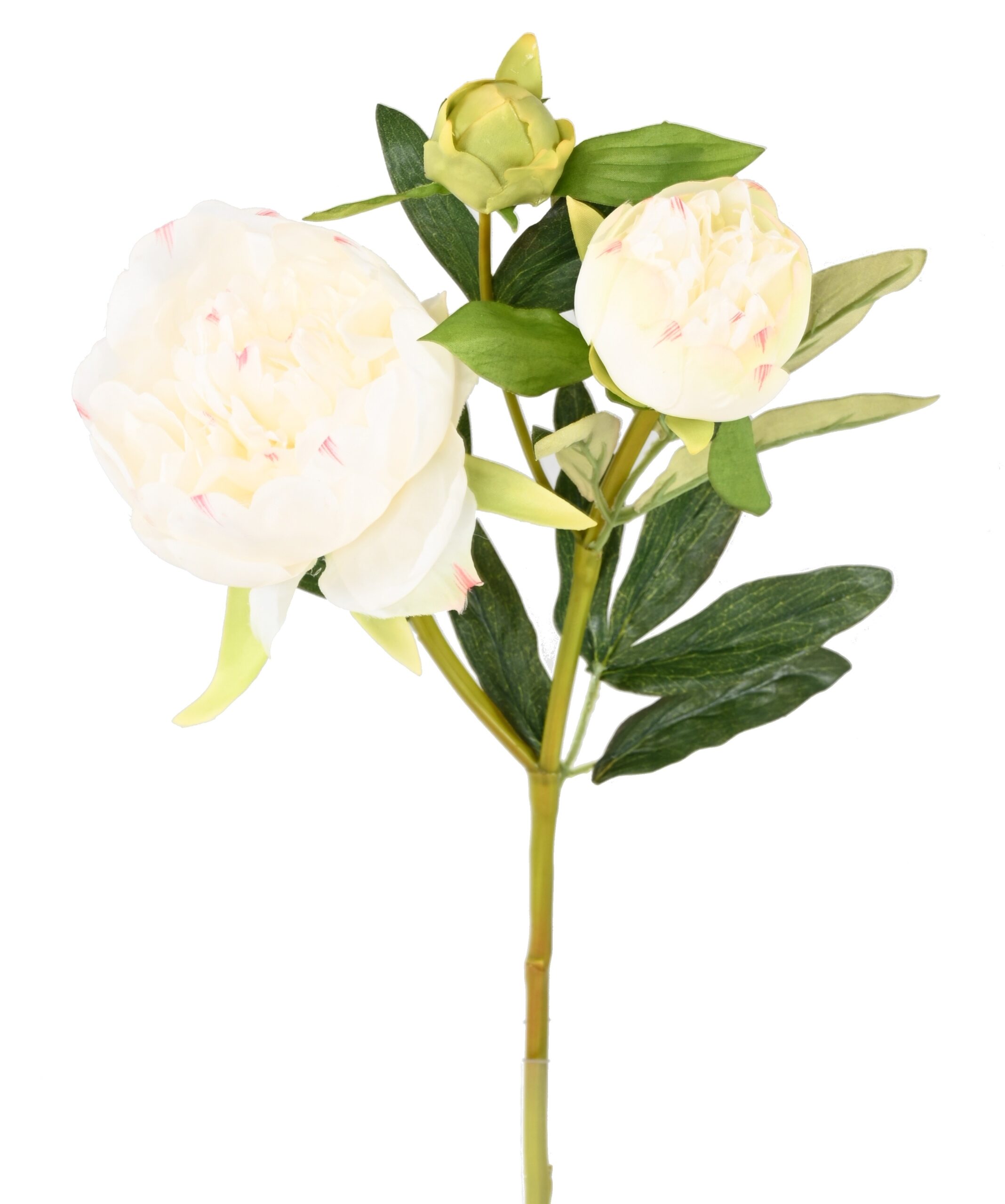 Künstliche Pfingstrose, weiß, ca. 50cm hoch 1 Künstliche Pfingstrose, weiß, ca. 50cm hoch