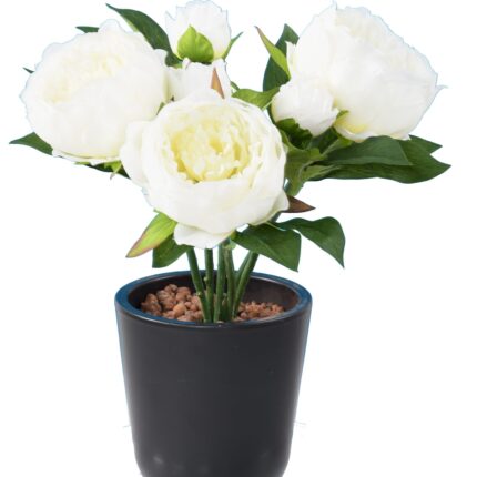 Künstlicher Pfingstrosen Zweig, ca 30cm, weiss