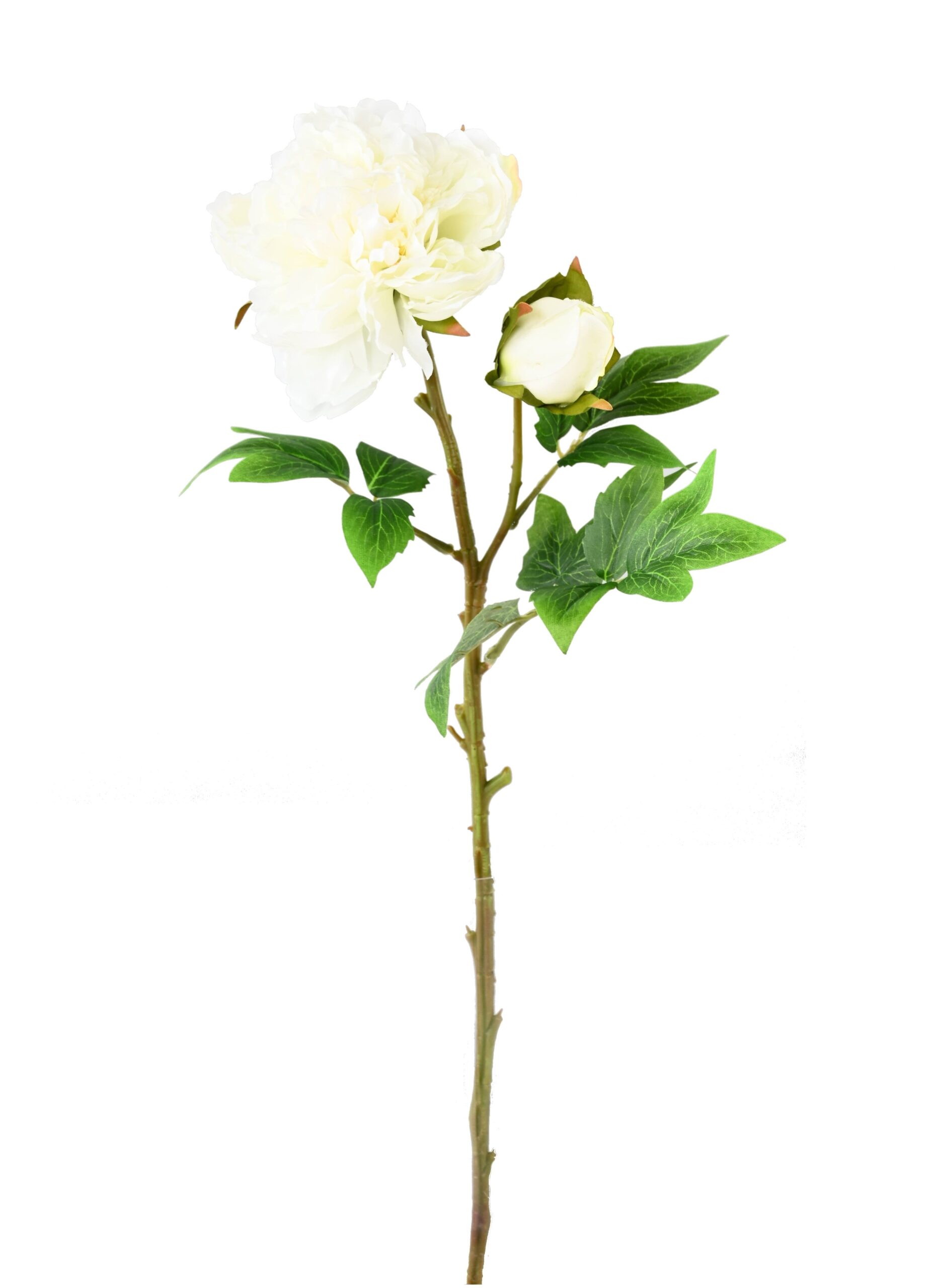 Künstliche Pfingstrose, weiß, ca. 55cm hoch 1 Künstliche Pfingstrose, weiß, ca. 55cm hoch