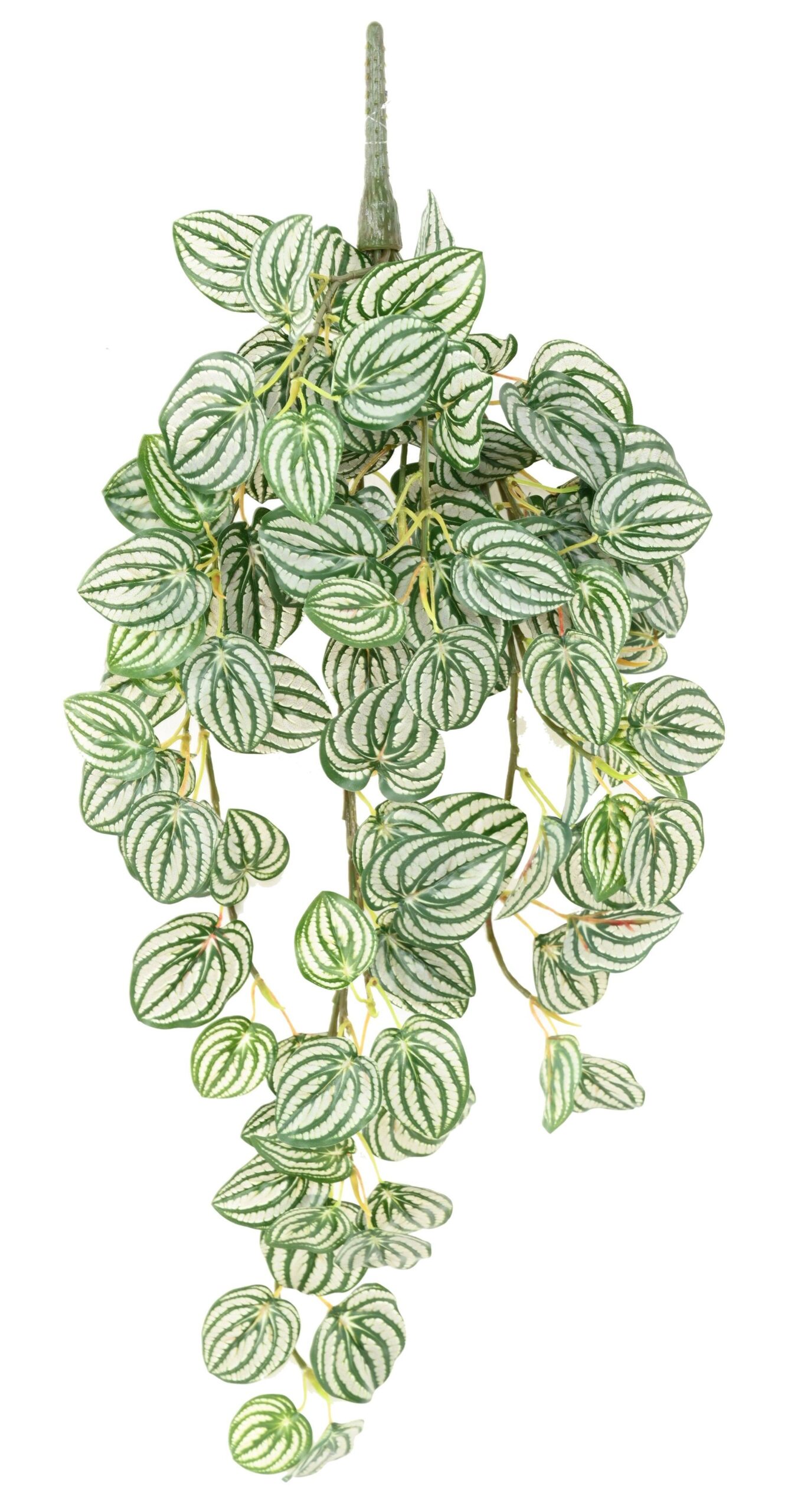 Künstliche Peperomia Hängender Busch, ca. 70cm 1 Künstliche Peperomia Hängender Busch, ca. 70cm