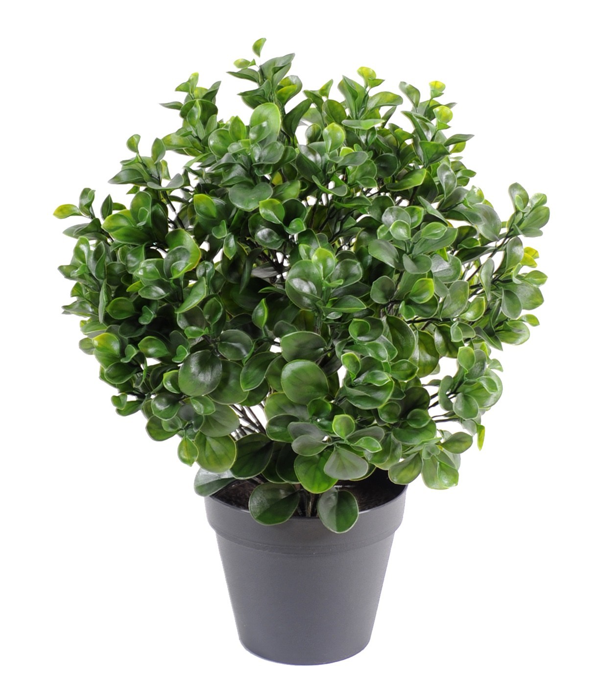 Künstlicher Peperomia Busch, 60cm hoch, grün 1 Künstlicher Peperomia Busch, 60cm hoch, grün