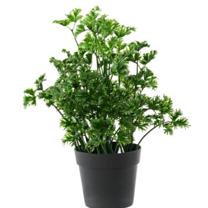 Künstliche Petersilie: UV-beständig & pflegeleicht