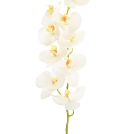 Künstliche Phalaenopsis, weiß, ca. 77cm hoch