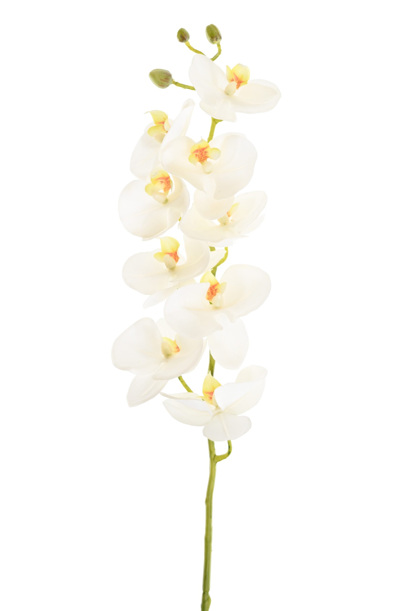 Künstliche Phalaenopsis, weiß, ca. 77cm hoch 1 Künstliche Phalaenopsis, weiß, ca. 77cm hoch