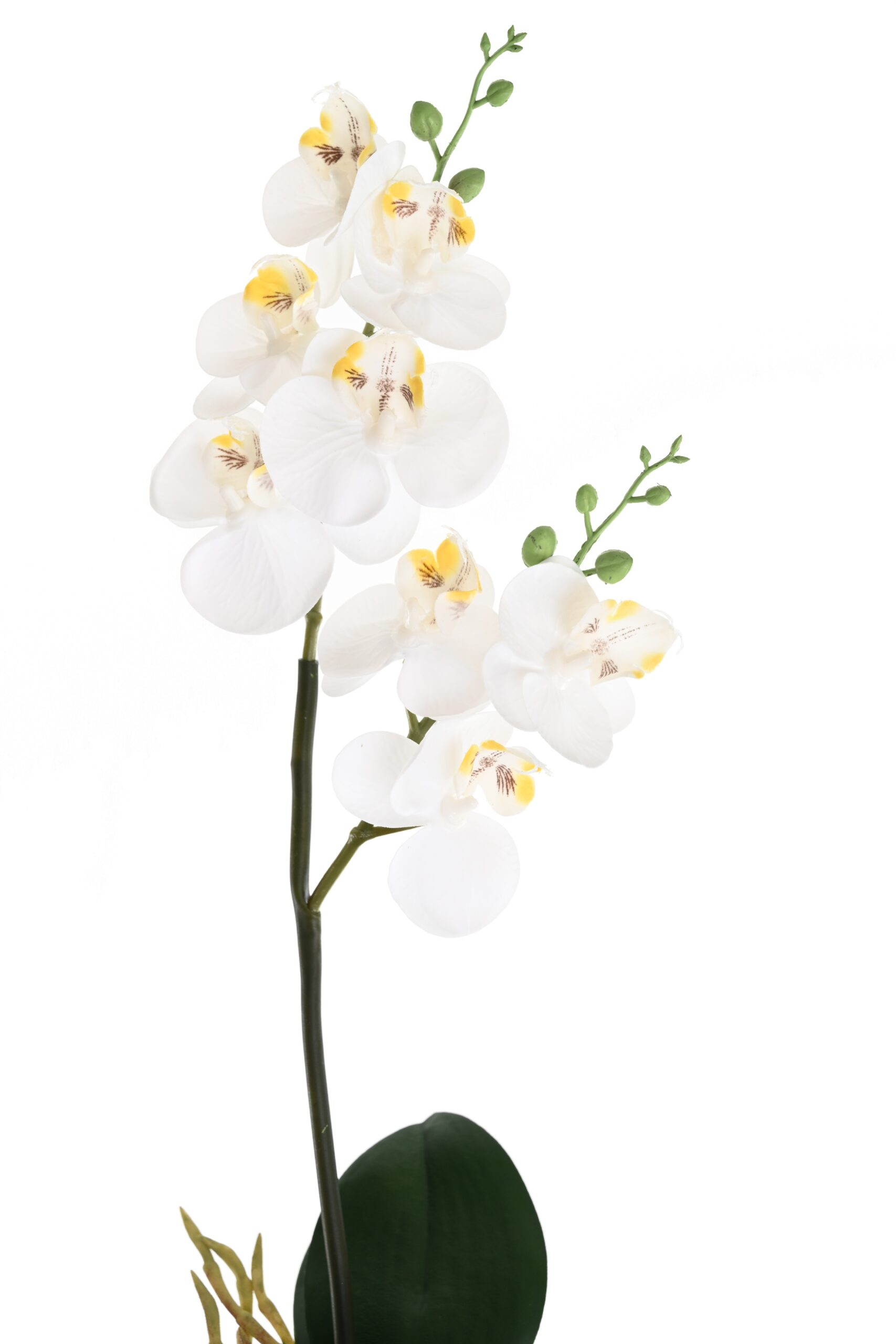 Künstliche Phalaenopsis Orchidee, ca 45cm, weiss 1 Künstliche Phalaenopsis Orchidee, ca 45cm, weiss