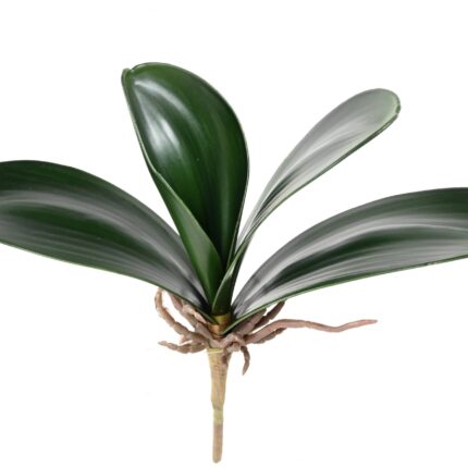 Künstlicher Phalaenopsis Blattzweig, ca 25cm, grün