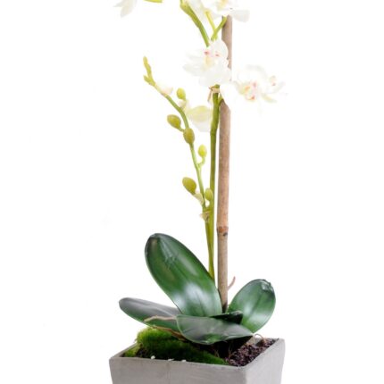 Künstliche Phalaenopsis Orchidee, ca 37cm, weiss