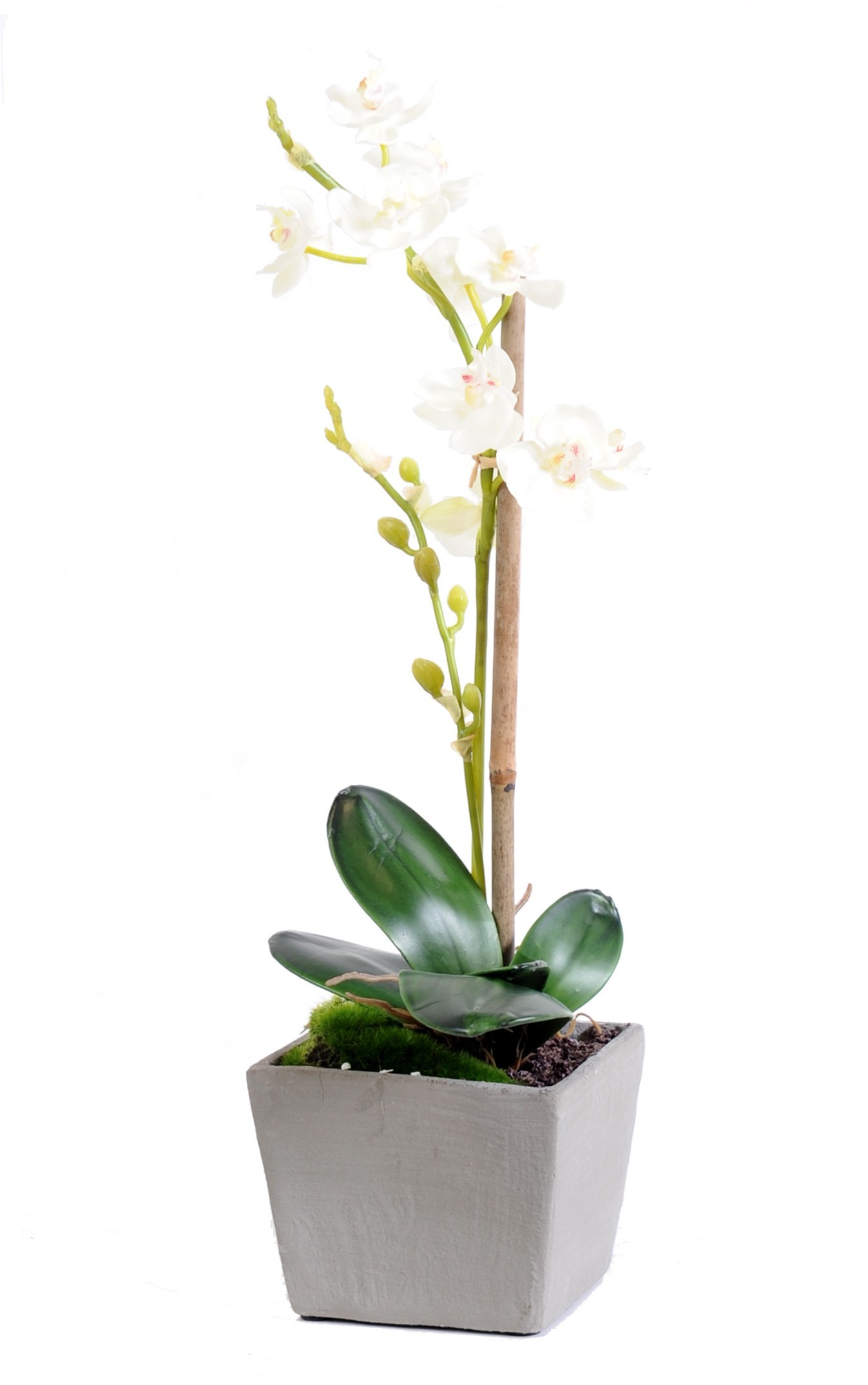 Künstliche Phalaenopsis Orchidee, ca 37cm, weiss 1 Künstliche Phalaenopsis Orchidee, ca 37cm, weiss