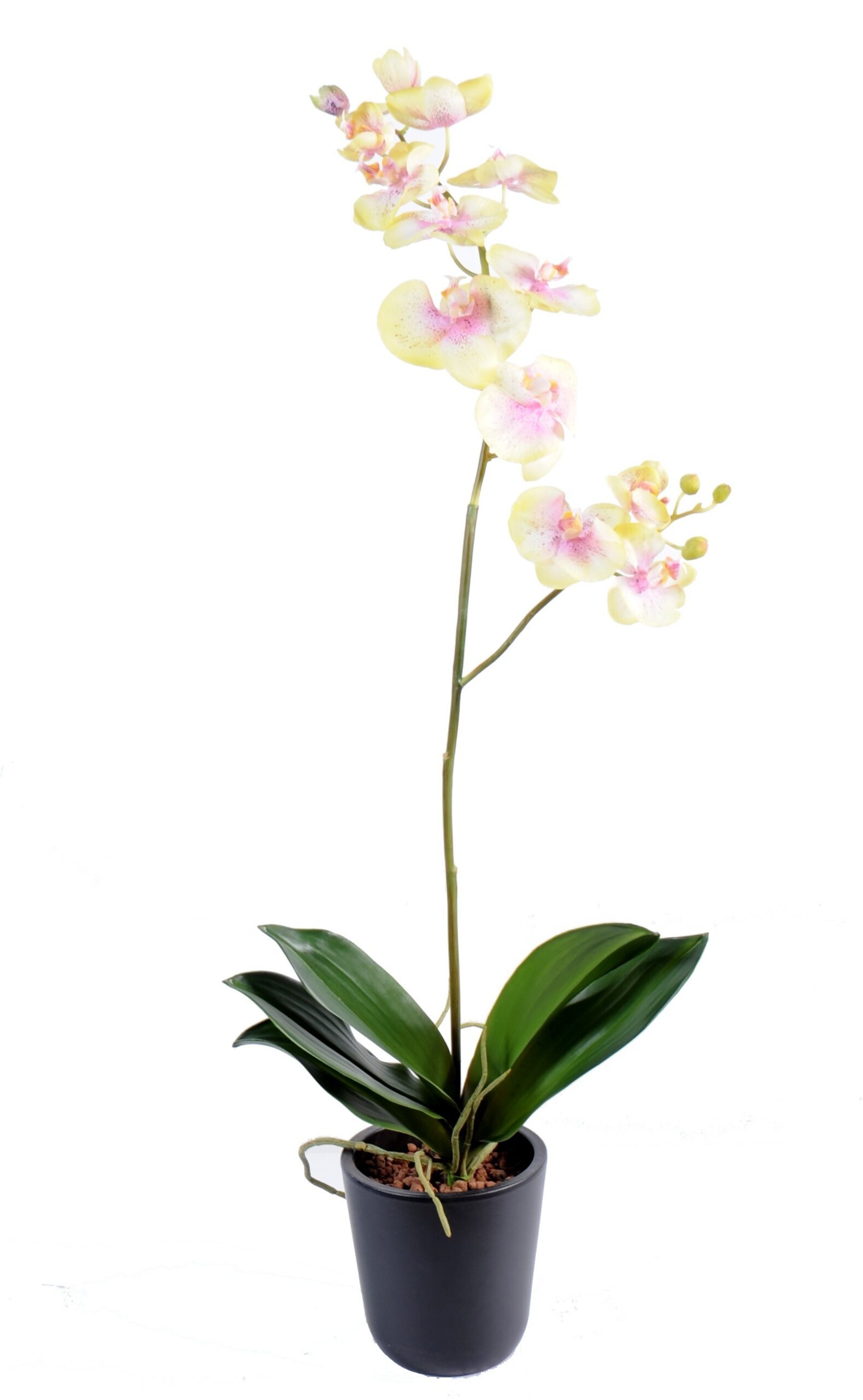 Künstliche Phalaenopsis, pink, ca. 90cm hoch 1 Künstliche Phalaenopsis, pink, ca. 90cm hoch