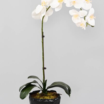 Künstliche Phalaenopsis Orchidee, ca 60cm, weiss