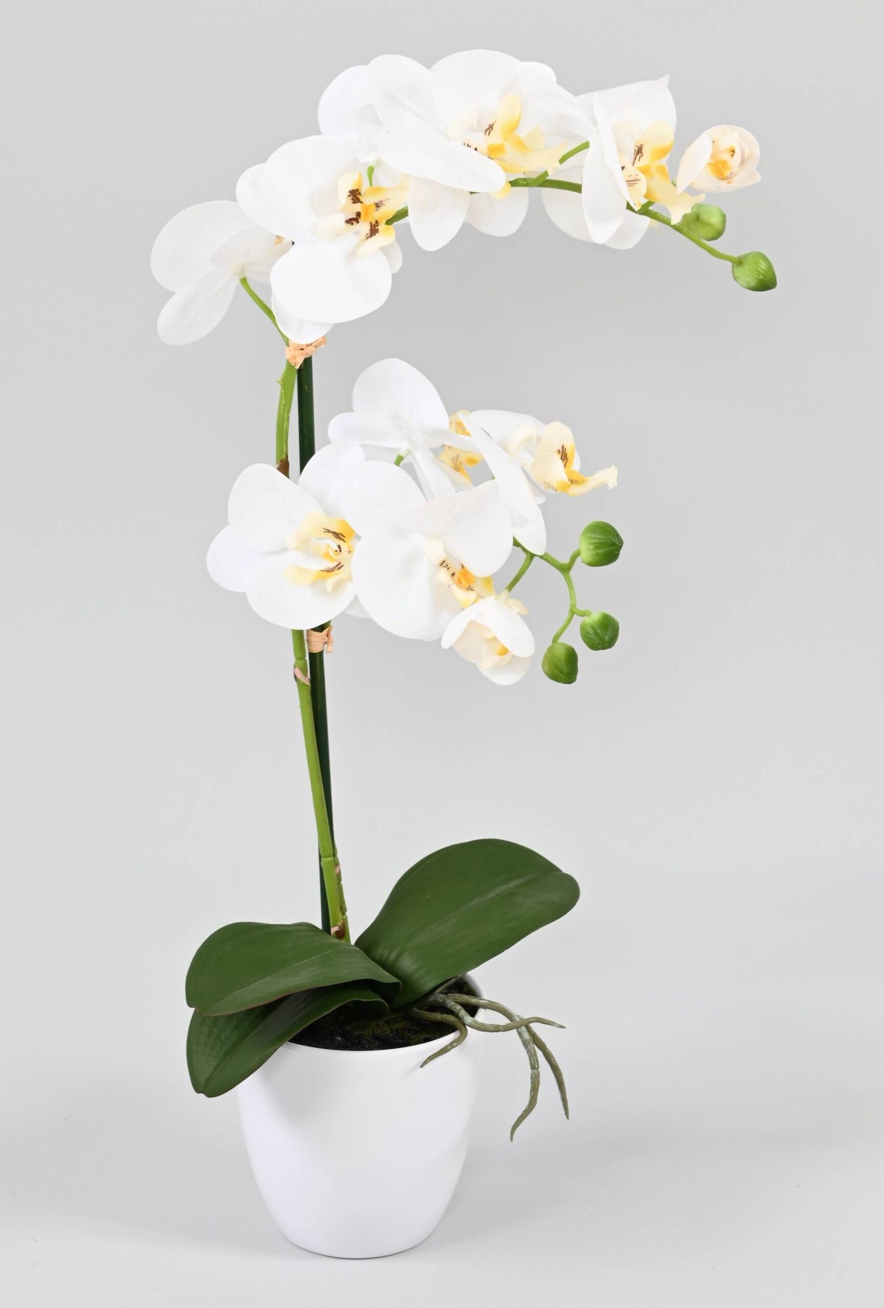 Künstliche Phalaenopsis Orchidee, ca 55cm, weiss 1 Künstliche Phalaenopsis Orchidee, ca 55cm, weiss