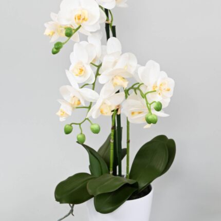 Künstliche Phalaenopsis Orchidee, ca 60cm, weiss