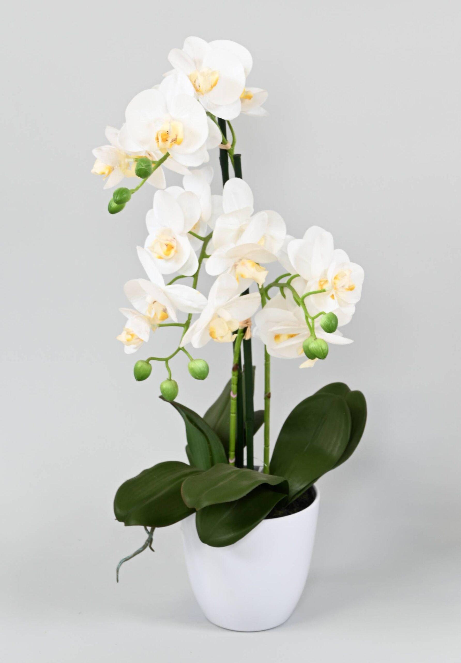 Künstliche Phalaenopsis Orchidee, ca 60cm, weiss 1 Künstliche Phalaenopsis Orchidee, ca 60cm, weiss