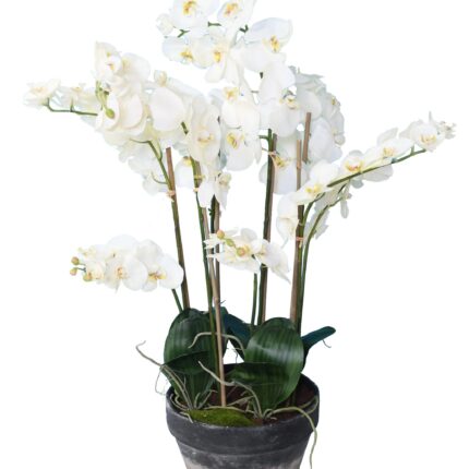 Künstliche Phalaenopsis Orchidee, ca 105cm, weiss